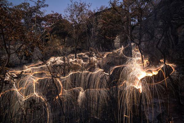 impermanent-sculptures-firework-tree-photography-vitor-schietti-4-bbf77
