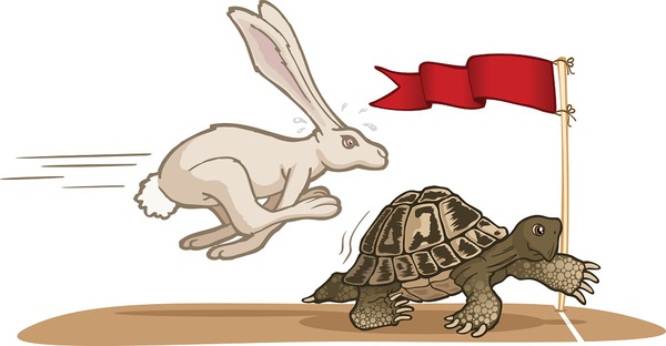 Truyện Ngụ Ngôn Rùa Và Thỏ: Liệu Rùa Có Thể Chiến Thắng Ở Ngoài Đời Thực?