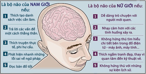 brain1 copy-dfed3
