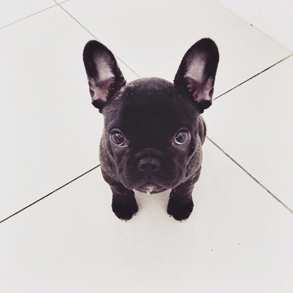 150829lacoolcho4-160cb