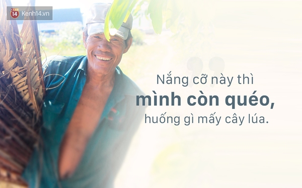 Nụ cười lạc quan của người miền Tây giữa những ngày hạn hán lịch sử - Ảnh 2.