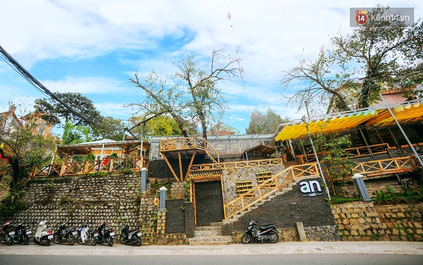 Những điều thú vị ở An - Quán cafe nằm giữa 5 cây mai anh đào cổ thụ tại Đà Lạt - Ảnh 1.