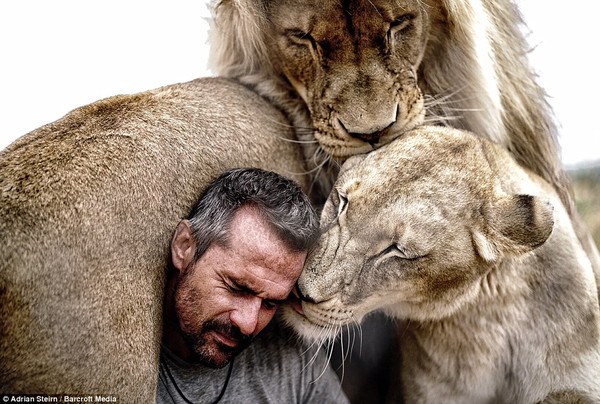 Chùm ảnh: Có những lúc con người và sư tử có thể gần gũi đến thế này - Ảnh 1.