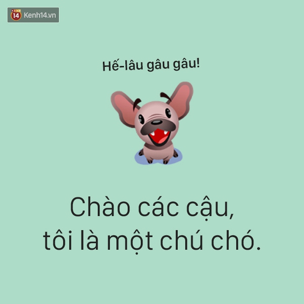T&acirc;m sự đầy đau khổ của một ch&uacute; ch&oacute; - Ảnh 1.