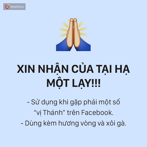 Những biểu tượng cảm xúc Facebook cần làm riêng cho cộng đồng mạng Việt Nam! - Ảnh 14.