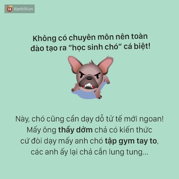 T&acirc;m sự đầy đau khổ của một ch&uacute; ch&oacute; - Ảnh 10.