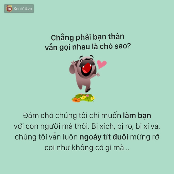 T&acirc;m sự đầy đau khổ của một ch&uacute; ch&oacute; - Ảnh 12.