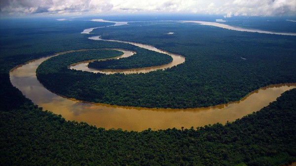 Huyền thoại về “hung thần” ngược dòng nước tiểu xơi “của quý” trên sông Amazon - Ảnh 1.