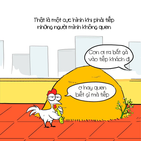 Đ&acirc;y ch&iacute;nh l&agrave; số phận nghiệt ng&atilde; của... kiếp con g&agrave;! - Ảnh 5.