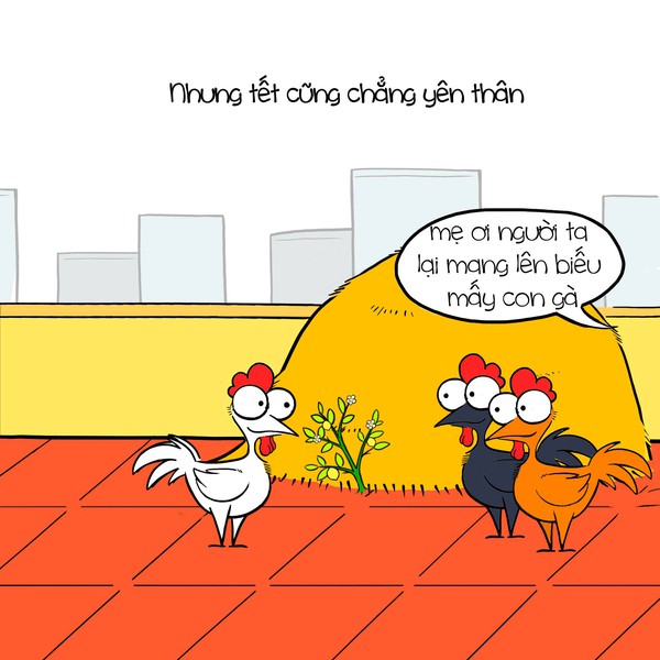 Đ&acirc;y ch&iacute;nh l&agrave; số phận nghiệt ng&atilde; của... kiếp con g&agrave;! - Ảnh 10.