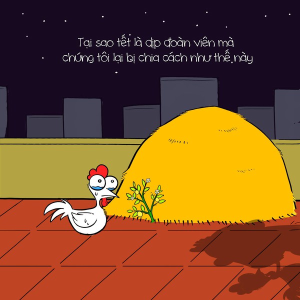Đ&acirc;y ch&iacute;nh l&agrave; số phận nghiệt ng&atilde; của... kiếp con g&agrave;! - Ảnh 12.