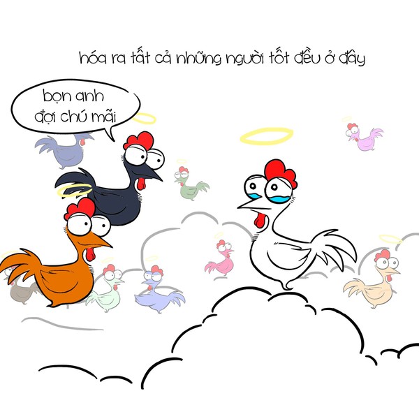 Đ&acirc;y ch&iacute;nh l&agrave; số phận nghiệt ng&atilde; của... kiếp con g&agrave;! - Ảnh 19.