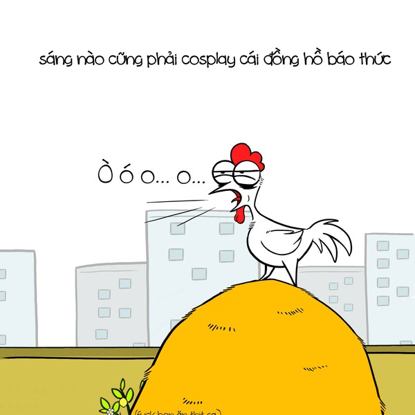 Đ&acirc;y ch&iacute;nh l&agrave; số phận nghiệt ng&atilde; của... kiếp con g&agrave;! - Ảnh 3.