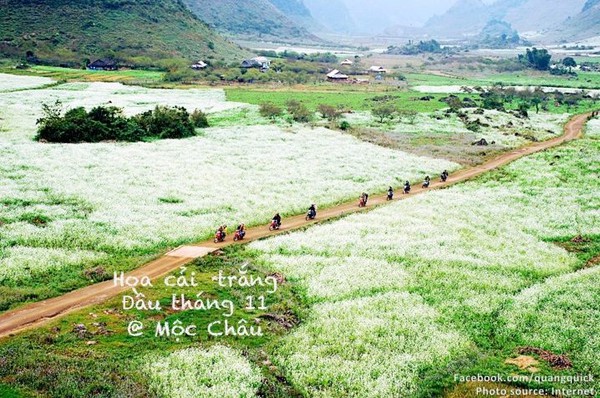 Hãy xem bộ ảnh này để thấy Việt Nam mình có những mùa lúa, mùa hoa thật đẹp! - Ảnh 23.