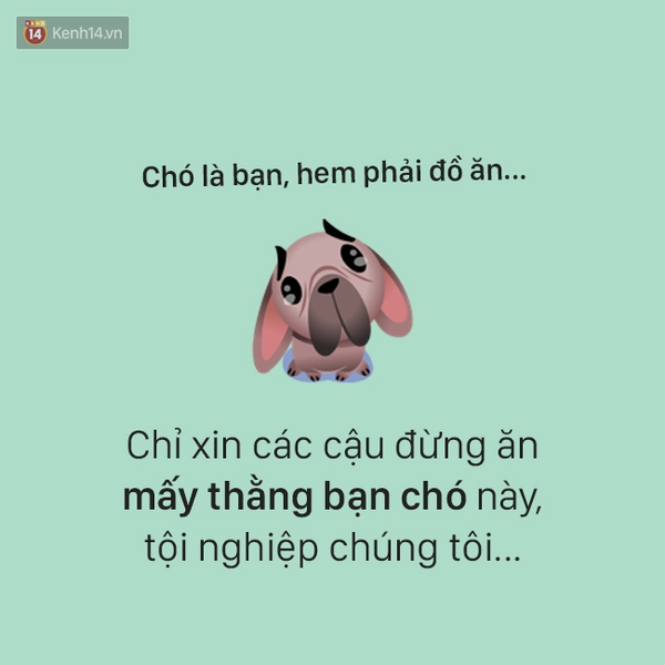 T&acirc;m sự đầy đau khổ của một ch&uacute; ch&oacute; - Ảnh 13.