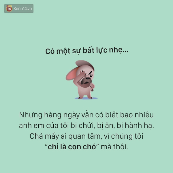 T&acirc;m sự đầy đau khổ của một ch&uacute; ch&oacute; - Ảnh 14.