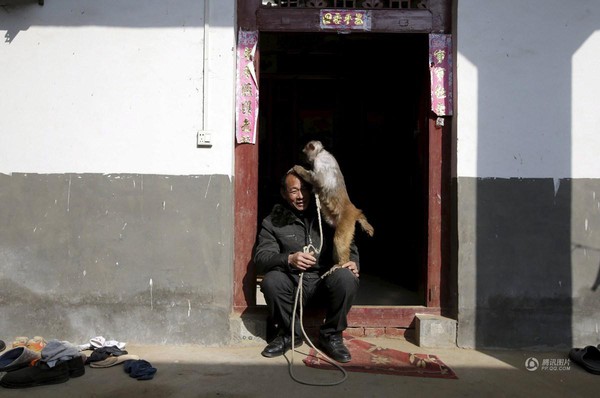 Năm con khỉ, ghé thăm ngôi làng chuyên đào tạo Tề Thiên Đại Thánh ở Trung Quốc - Ảnh 18.