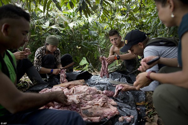 Cuộc sống ăn với súng, ngủ với đạn cực khổ của quân nổi dậy Colombia - Ảnh 4.