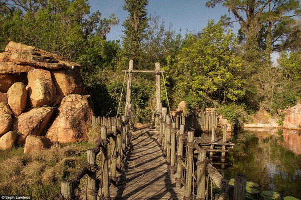 Hình ảnh ghê rợn bên trong công viên nước bỏ hoang 15 năm của Disney - Ảnh 16.