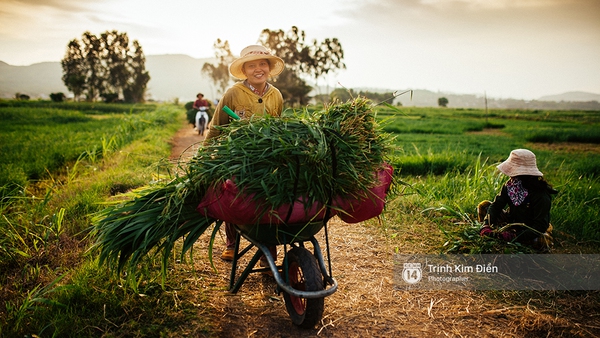 Hãy đến những nơi này để thấy Phú Yên còn đẹp hơn những gì bạn thấy trong hoa vàng cỏ xanh - Ảnh 26.