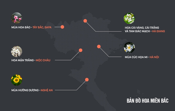 Bạn có biết: Nơi nào ở miền Bắc có những mùa hoa đẹp nhất năm 2015? - Ảnh 1.