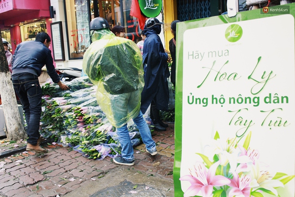 Người Hà Nội đội mưa đi mua hoa ly ủng hộ nông dân Tây Tựu - Ảnh 1.