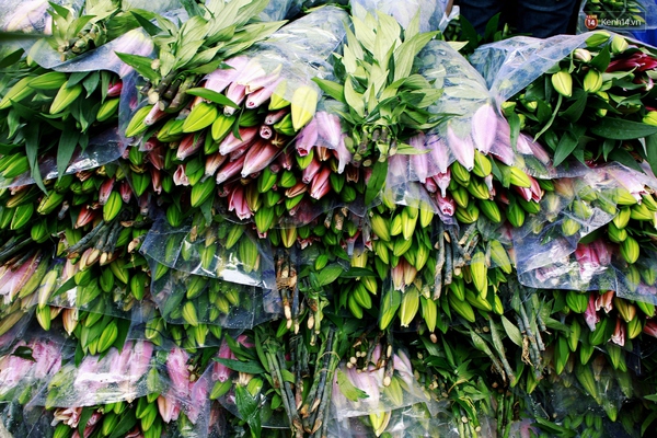 Người Hà Nội đội mưa đi mua hoa ly ủng hộ nông dân Tây Tựu - Ảnh 6.