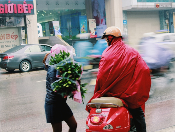Người Hà Nội đội mưa đi mua hoa ly ủng hộ nông dân Tây Tựu - Ảnh 4.