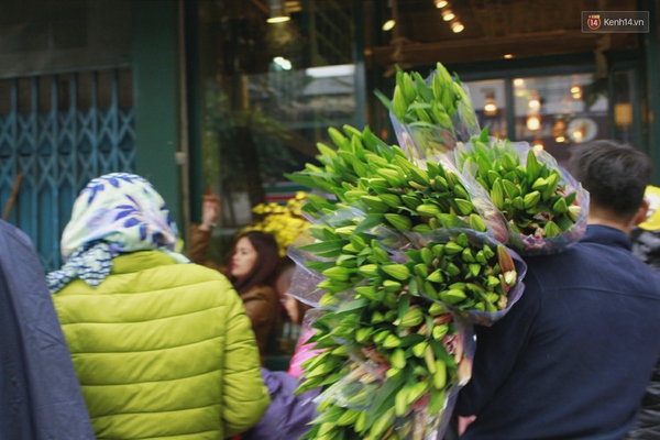 Người Hà Nội đội mưa đi mua hoa ly ủng hộ nông dân Tây Tựu - Ảnh 5.