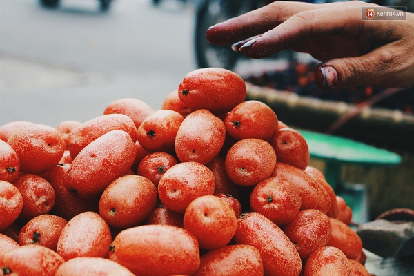 Bán nhót đỏ, mận chát thu lãi cả chục triệu/ngày thì chắc kéo nhau đi bán hàng rong hết! - Ảnh 1.