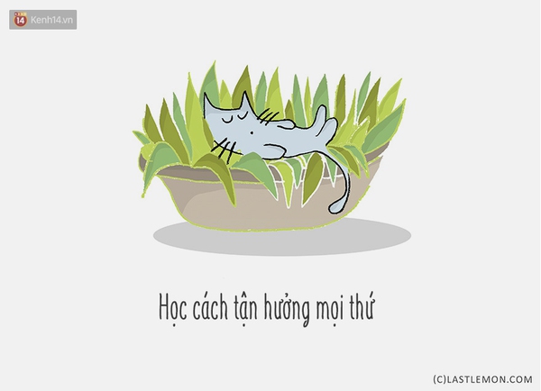 Tranh vui: Mấy ch&uacute; m&egrave;o đ&atilde; dạy bạn những g&igrave;? - Ảnh 2.