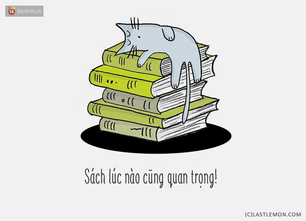 Tranh vui: Mấy ch&uacute; m&egrave;o đ&atilde; dạy bạn những g&igrave;? - Ảnh 13.