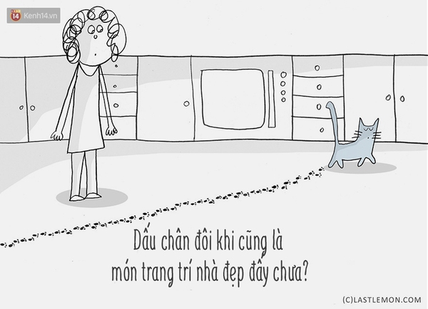 Tranh vui: Mấy ch&uacute; m&egrave;o đ&atilde; dạy bạn những g&igrave;? - Ảnh 16.