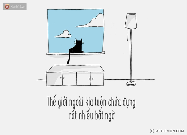 Tranh vui: Mấy ch&uacute; m&egrave;o đ&atilde; dạy bạn những g&igrave;? - Ảnh 3.