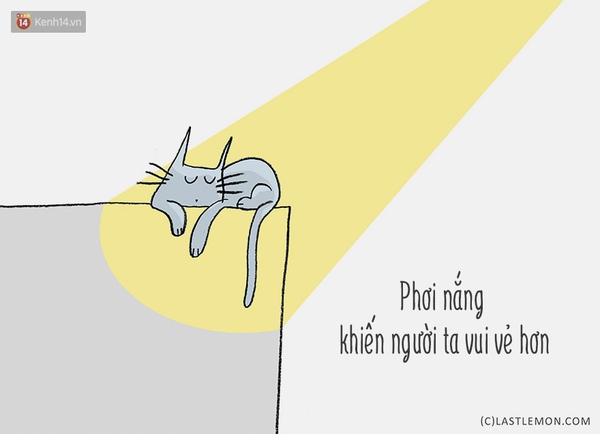 Tranh vui: Mấy ch&uacute; m&egrave;o đ&atilde; dạy bạn những g&igrave;? - Ảnh 5.