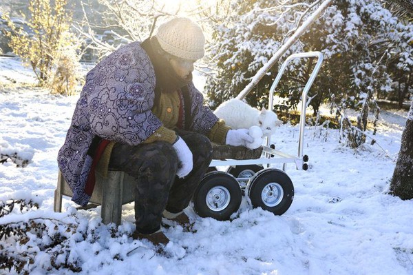 Tạm biệt Fukumaru, chú mèo Nhật Bản từng khiến hàng triệu người yêu mến - Ảnh 24.