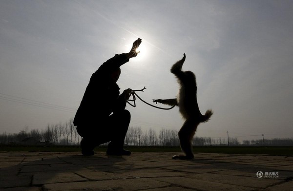 Năm con khỉ, ghé thăm ngôi làng chuyên đào tạo Tề Thiên Đại Thánh ở Trung Quốc - Ảnh 25.