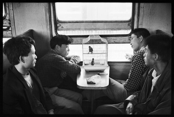 Chùm ảnh: Cuộc sống muôn màu trong bộ ảnh đen trắng trên những chuyến tàu xưa - Ảnh 24.