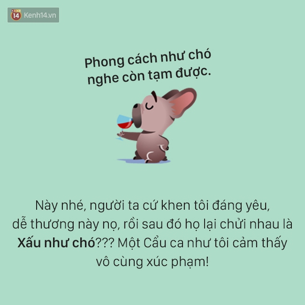 T&acirc;m sự đầy đau khổ của một ch&uacute; ch&oacute; - Ảnh 3.