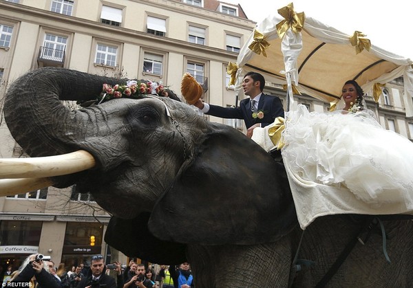 Hình ảnh cặp đôi cưỡi voi trong lễ cưới giữa đường phố Budapest gây tranh cãi - Ảnh 2.