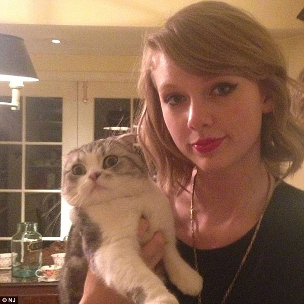 Bị nước văng vào, Taylor Swift liếm tay như mèo tại Grammy 2016 - Ảnh 3.