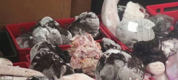 Romania: Thu giữ 5 tấn thịt đ&ocirc;ng lạnh được t&iacute;ch trữ từ 35 năm trước - Ảnh 2.