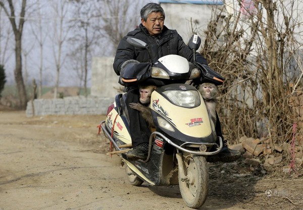 Năm con khỉ, ghé thăm ngôi làng chuyên đào tạo Tề Thiên Đại Thánh ở Trung Quốc - Ảnh 22.