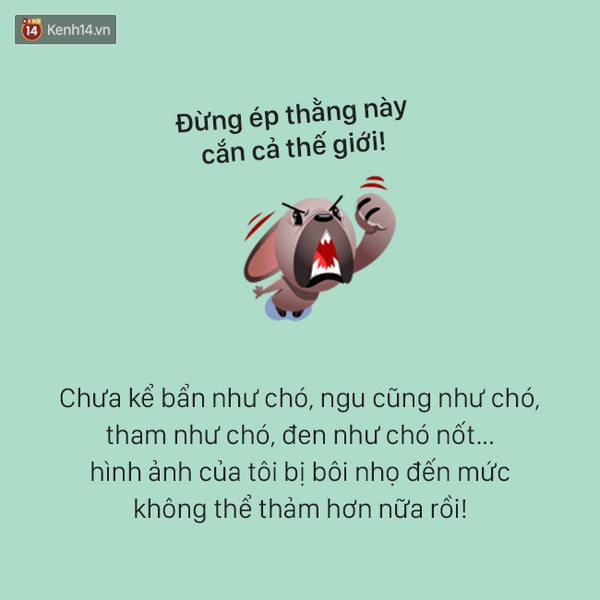 T&acirc;m sự đầy đau khổ của một ch&uacute; ch&oacute; - Ảnh 4.