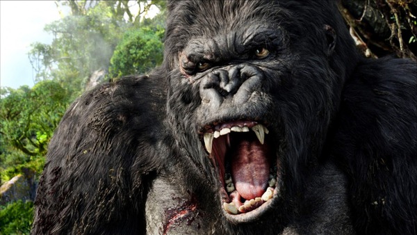 Đi tìm lời giải liệu King Kong có thật hay không? - Ảnh 3.