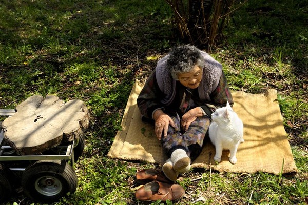 Tạm biệt Fukumaru, chú mèo Nhật Bản từng khiến hàng triệu người yêu mến - Ảnh 35.