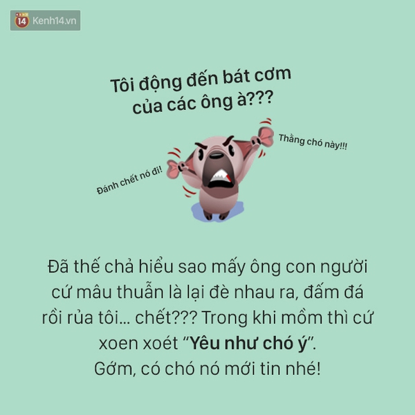T&acirc;m sự đầy đau khổ của một ch&uacute; ch&oacute; - Ảnh 5.