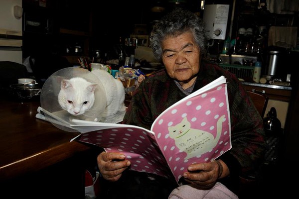 Tạm biệt Fukumaru, chú mèo Nhật Bản từng khiến hàng triệu người yêu mến - Ảnh 36.