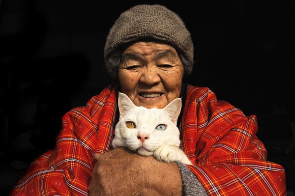 Tạm biệt Fukumaru, chú mèo Nhật Bản từng khiến hàng triệu người yêu mến - Ảnh 38.