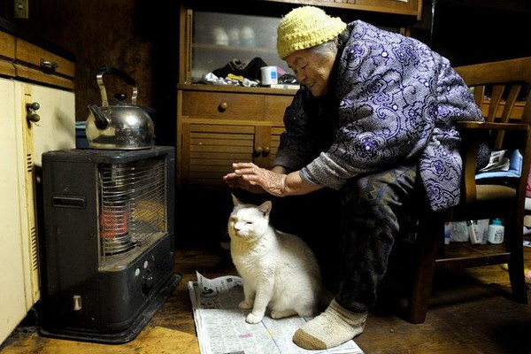 Tạm biệt Fukumaru, chú mèo Nhật Bản từng khiến hàng triệu người yêu mến - Ảnh 40.